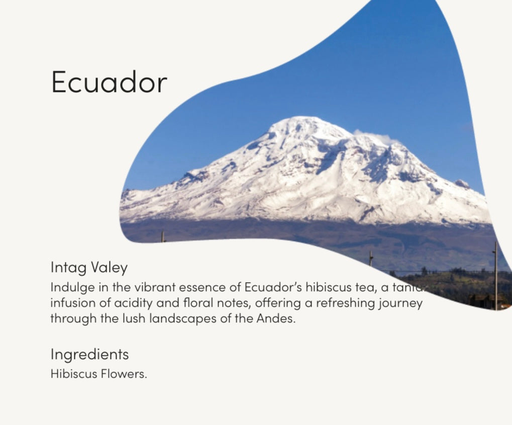 Hibiscus Tea - Ecuador