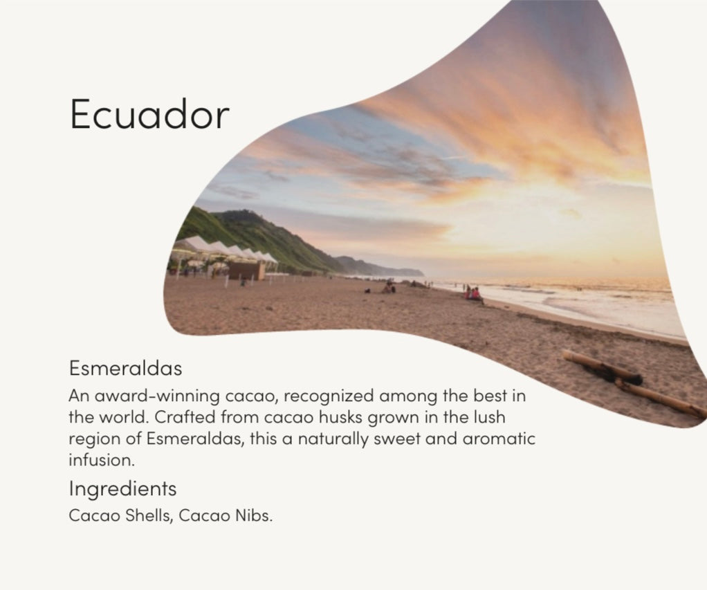 Cacao Tea - Ecuador