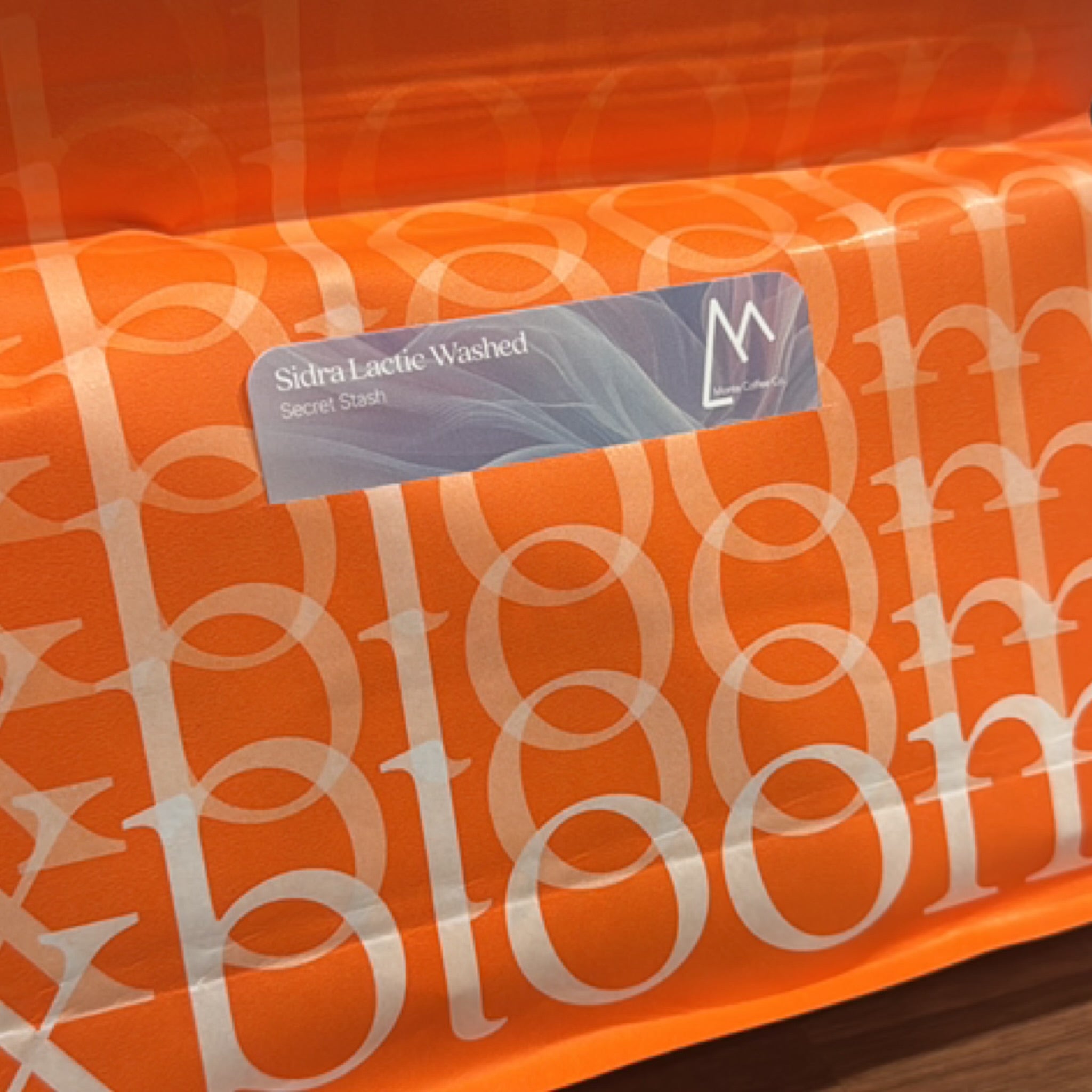 Monta x Xbloom Secret Stash - Ximena Leon