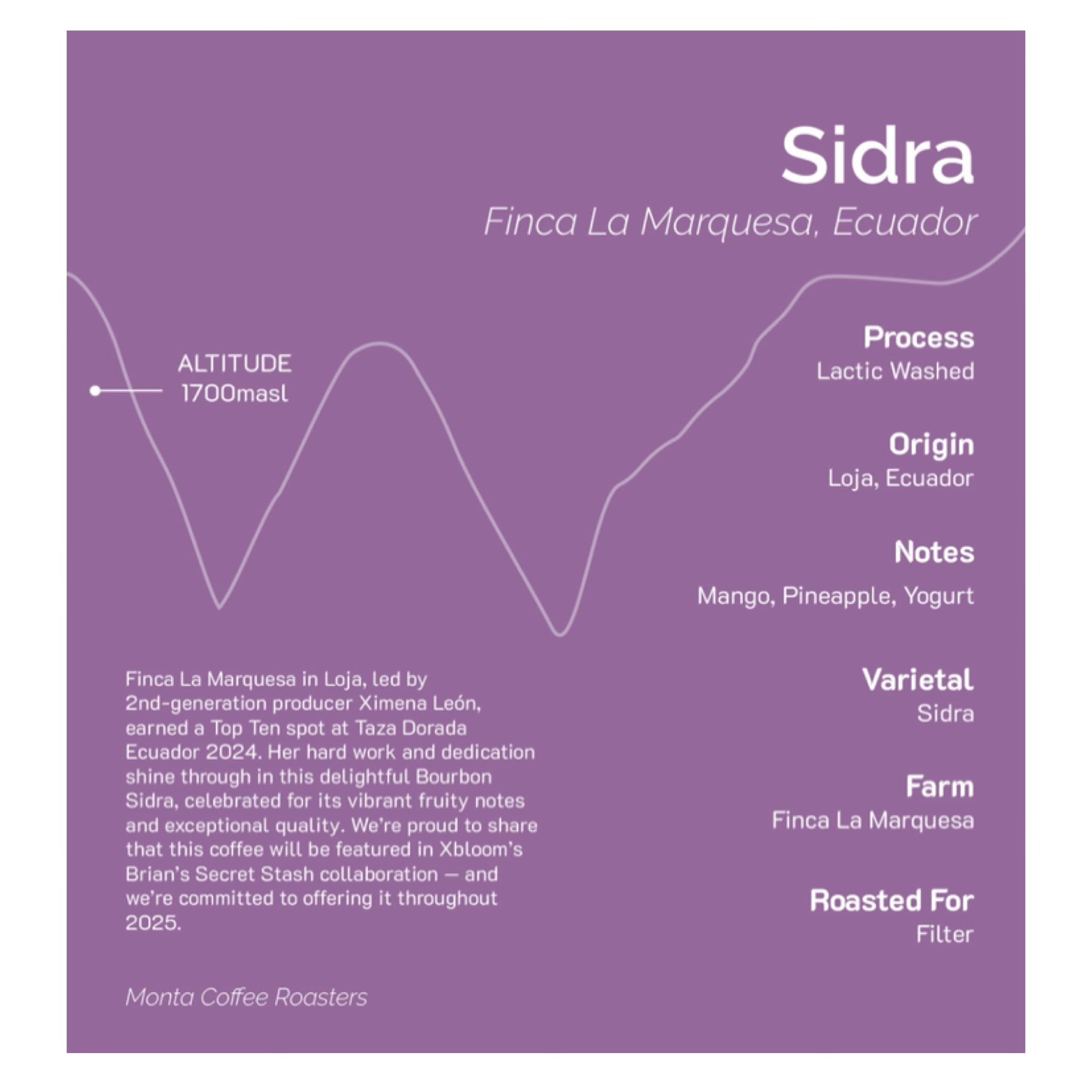 Monta x Xbloom Secret Stash - Ximena Leon