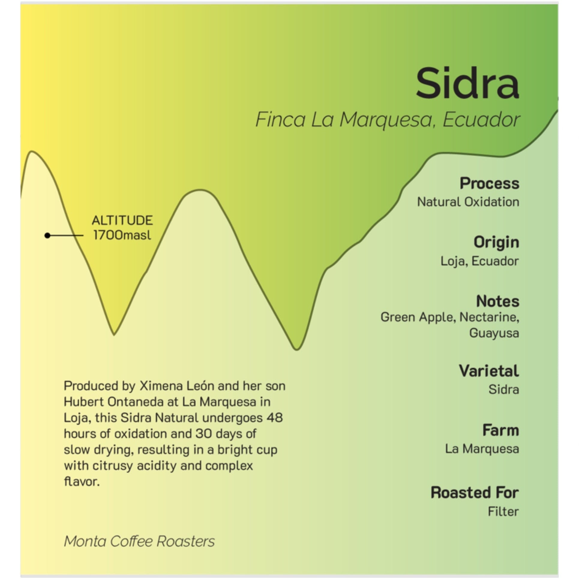 Ecuador - Ximena Leon Sidra Natural