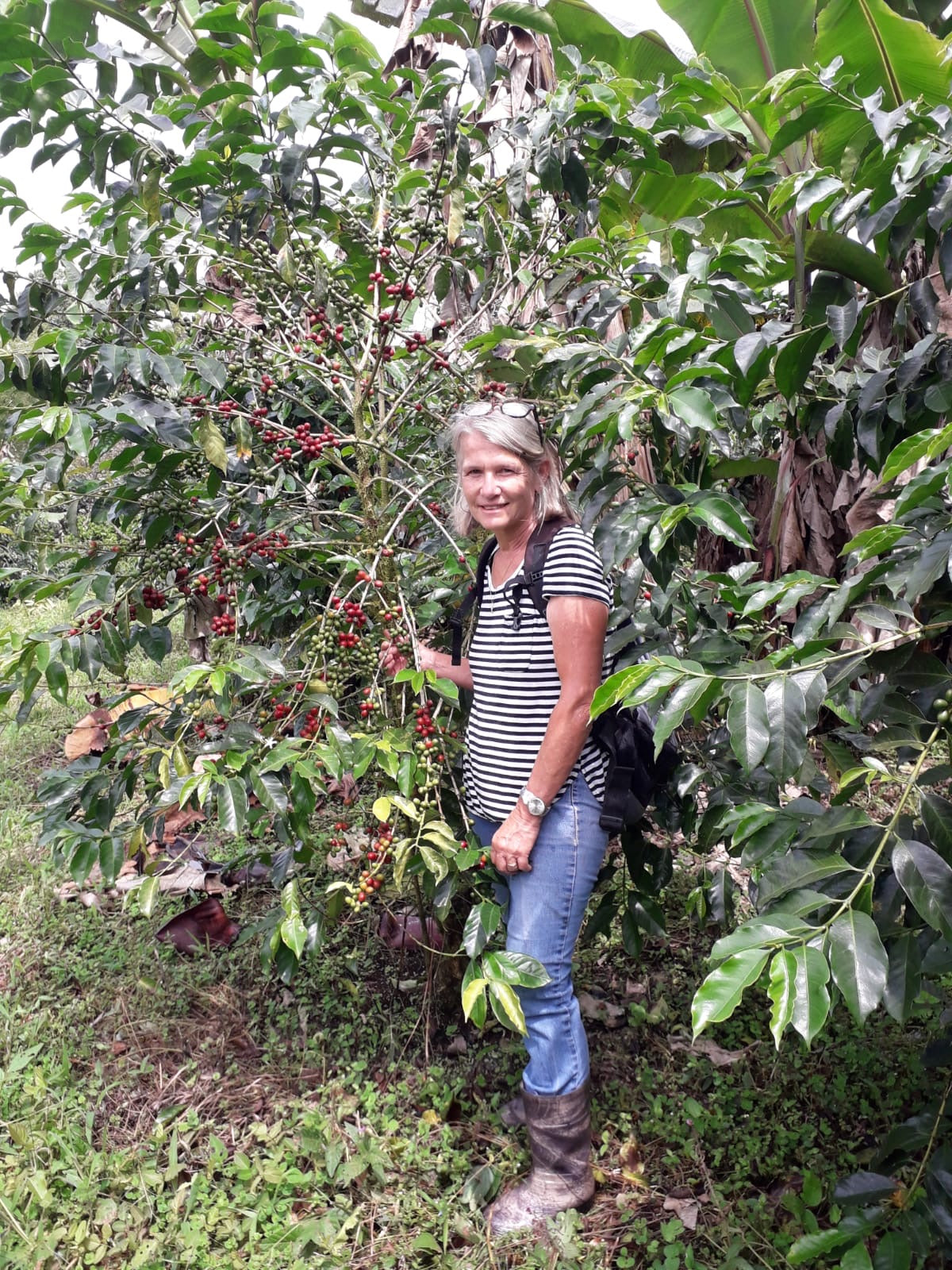 Ecuador - Verena Blasser Sidra Honey