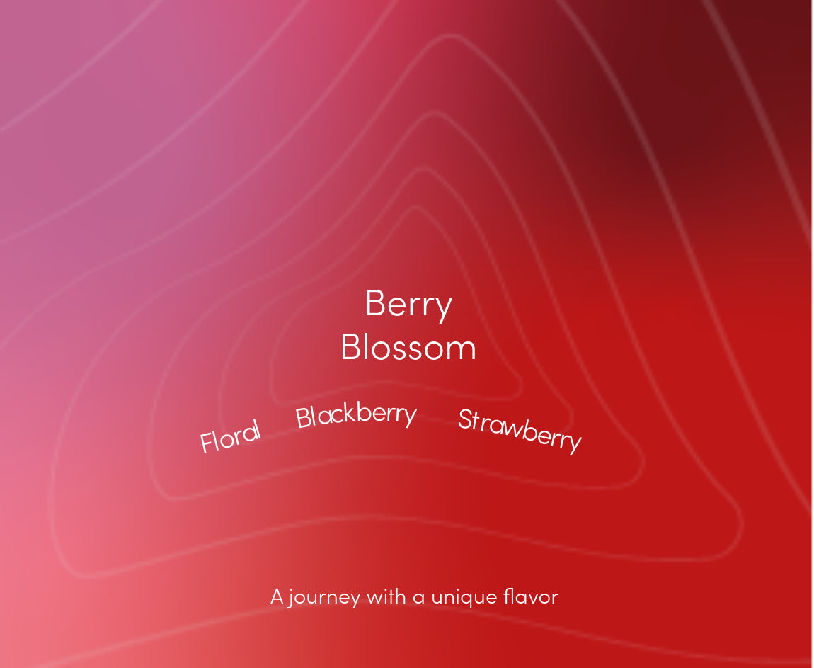 Berry Blossom- Ecuador