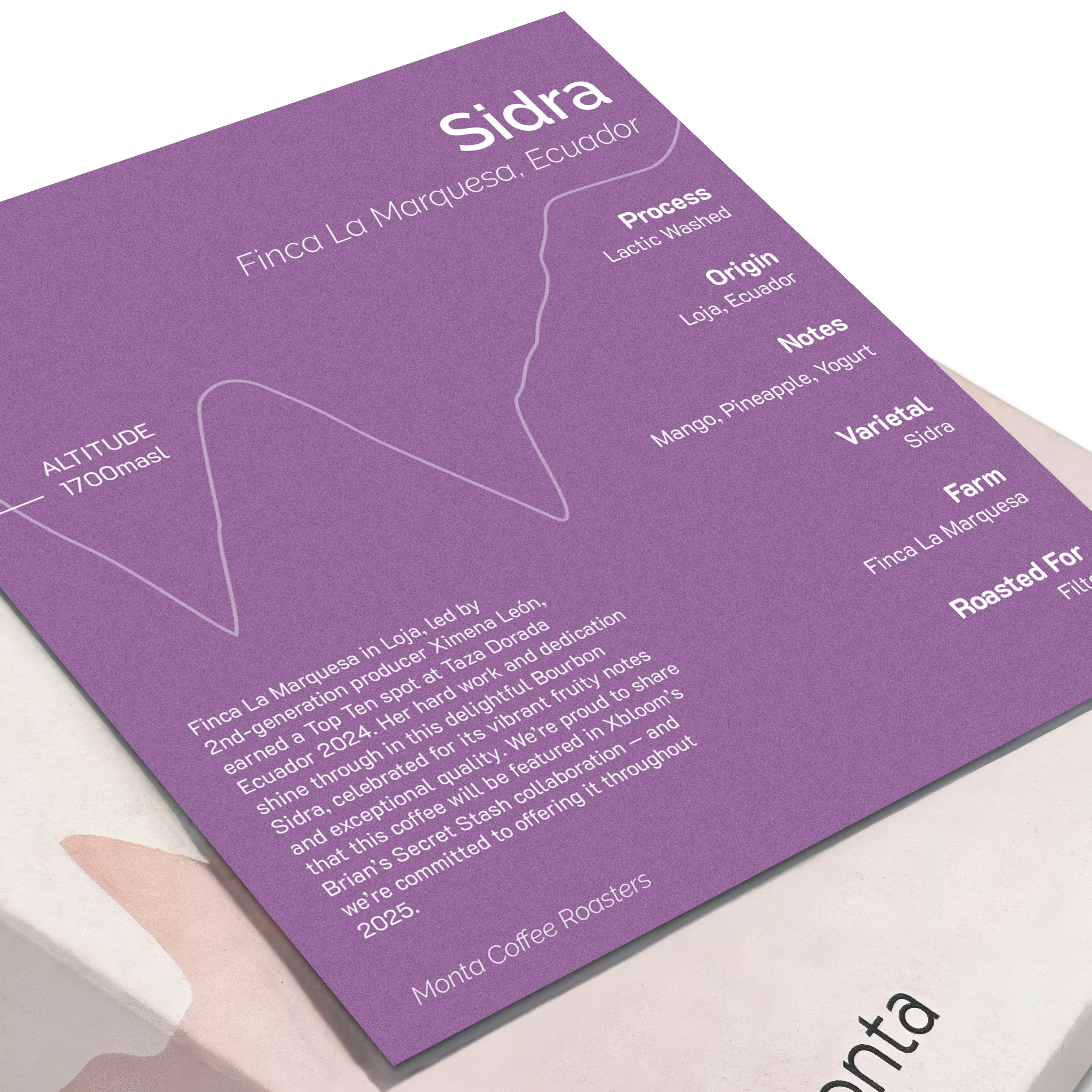 Monta x Xbloom Secret Stash - Ximena Leon