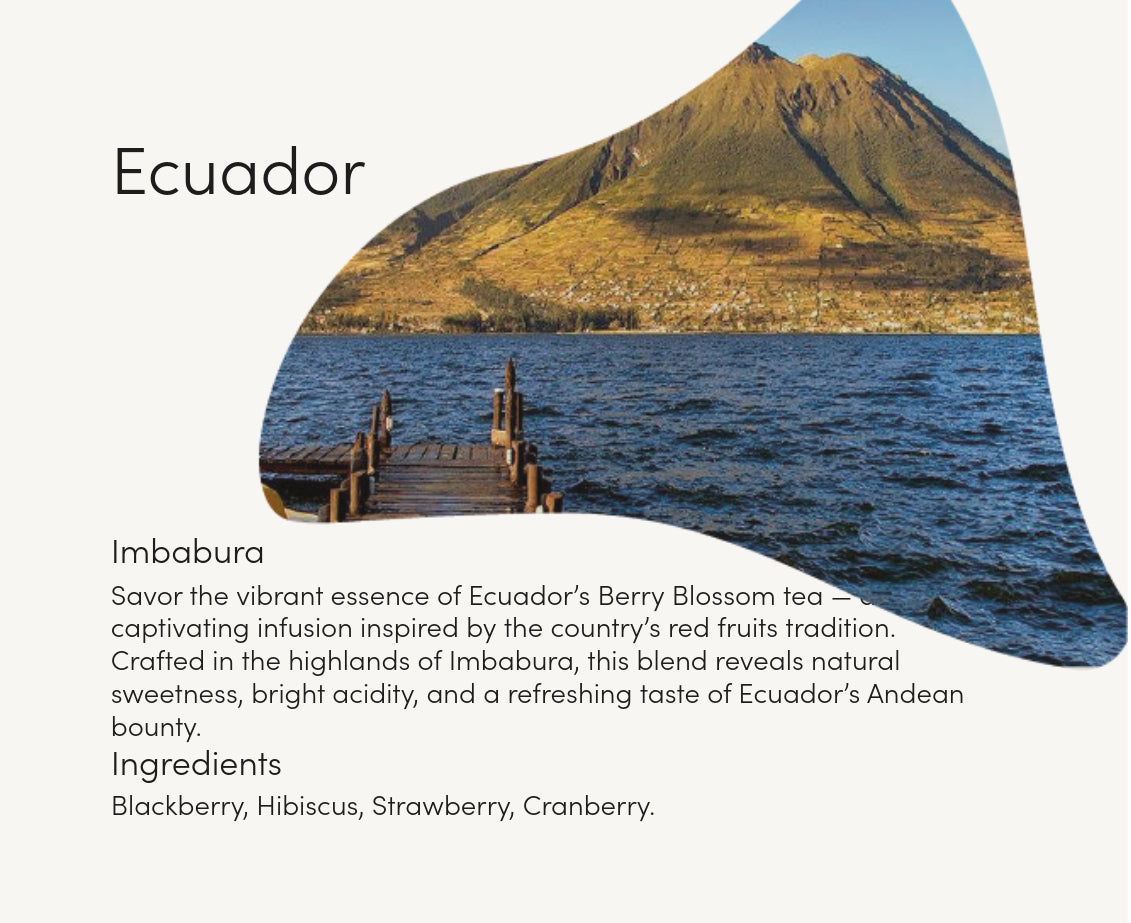 Berry Blossom- Ecuador