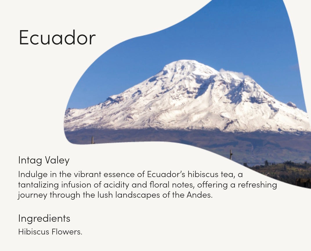 Hibiscus Tea - Ecuador