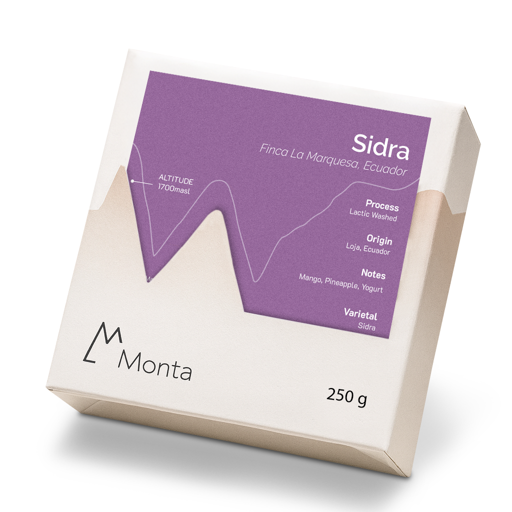 Monta x Xbloom Secret Stash - Ximena Leon